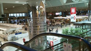 100_0007.JPG