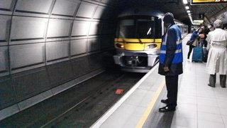 100_0022.JPG
