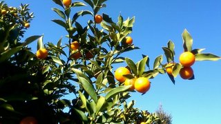 2011_12_28_13_20_18.jpg