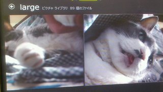 2012_03_04_13_04_28.jpg