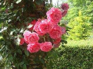 DSC03644.jpg