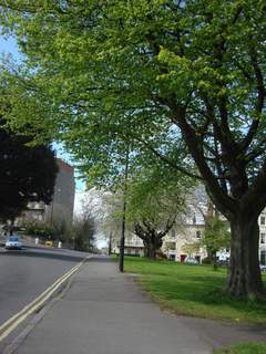 DSC08778.JPG